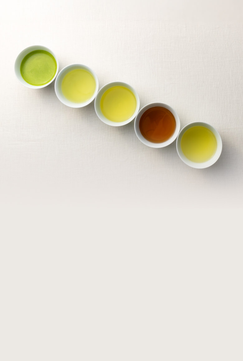 Hojicha 100g on a table with person reading a book